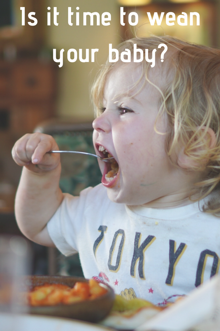 We are weaning. Baby led weaning. Piccolo foods.