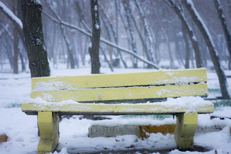 Caring and Maintaining your garden bench.