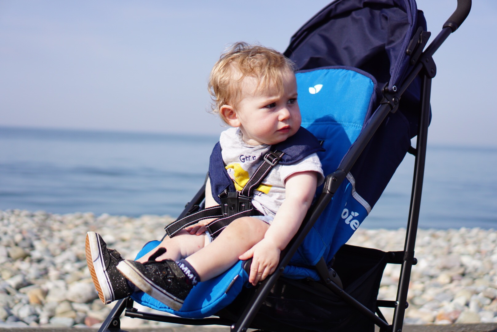 Joie nitro outlet stroller sale