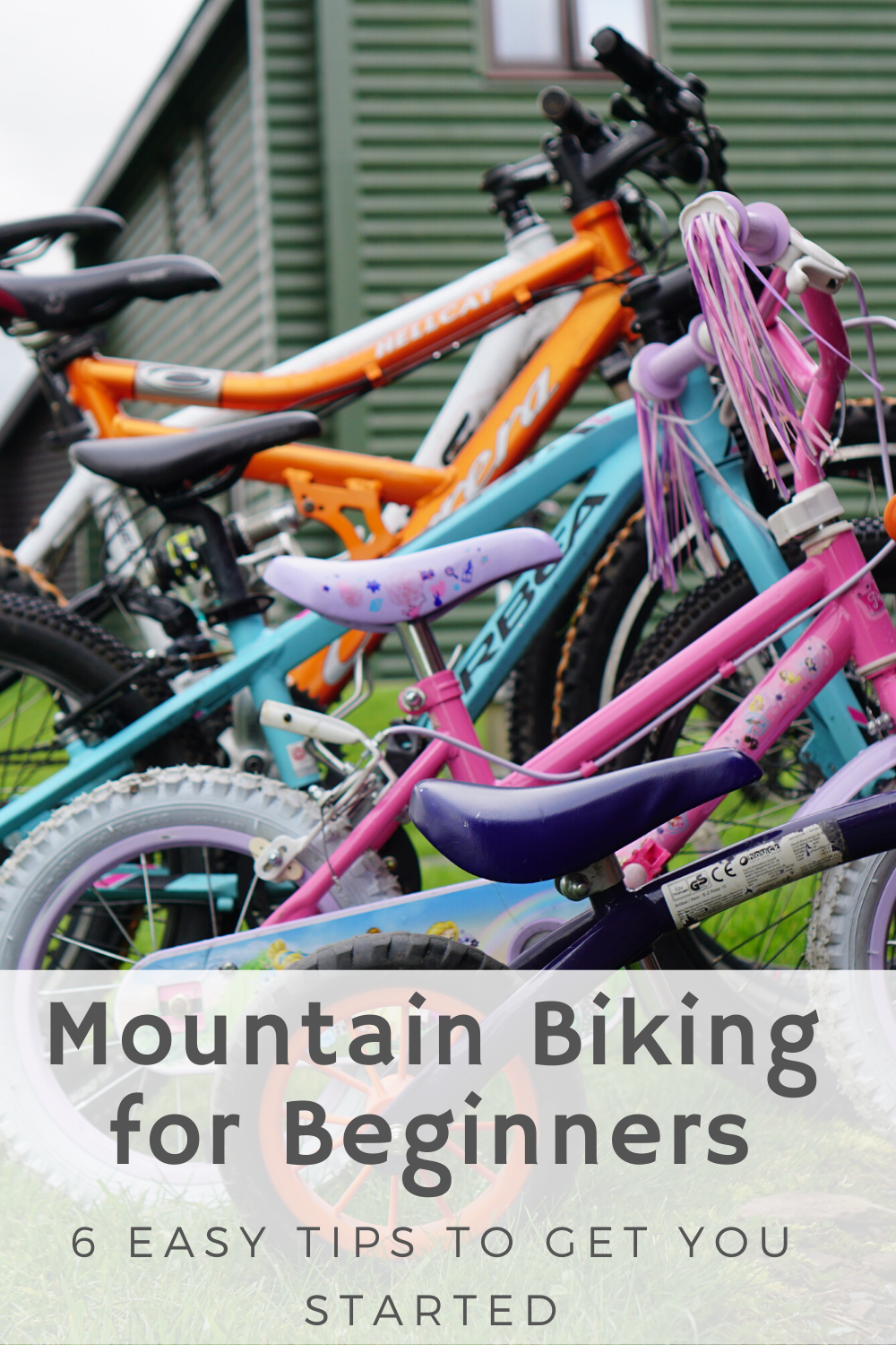 mountain bike for beginners