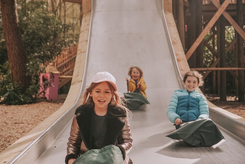 BEWILDERWOOD CHESHIRE – TIPS, REVIEW & FAQs