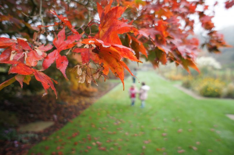 Things to do in Autumn with kids – Our Autumn Bucket List